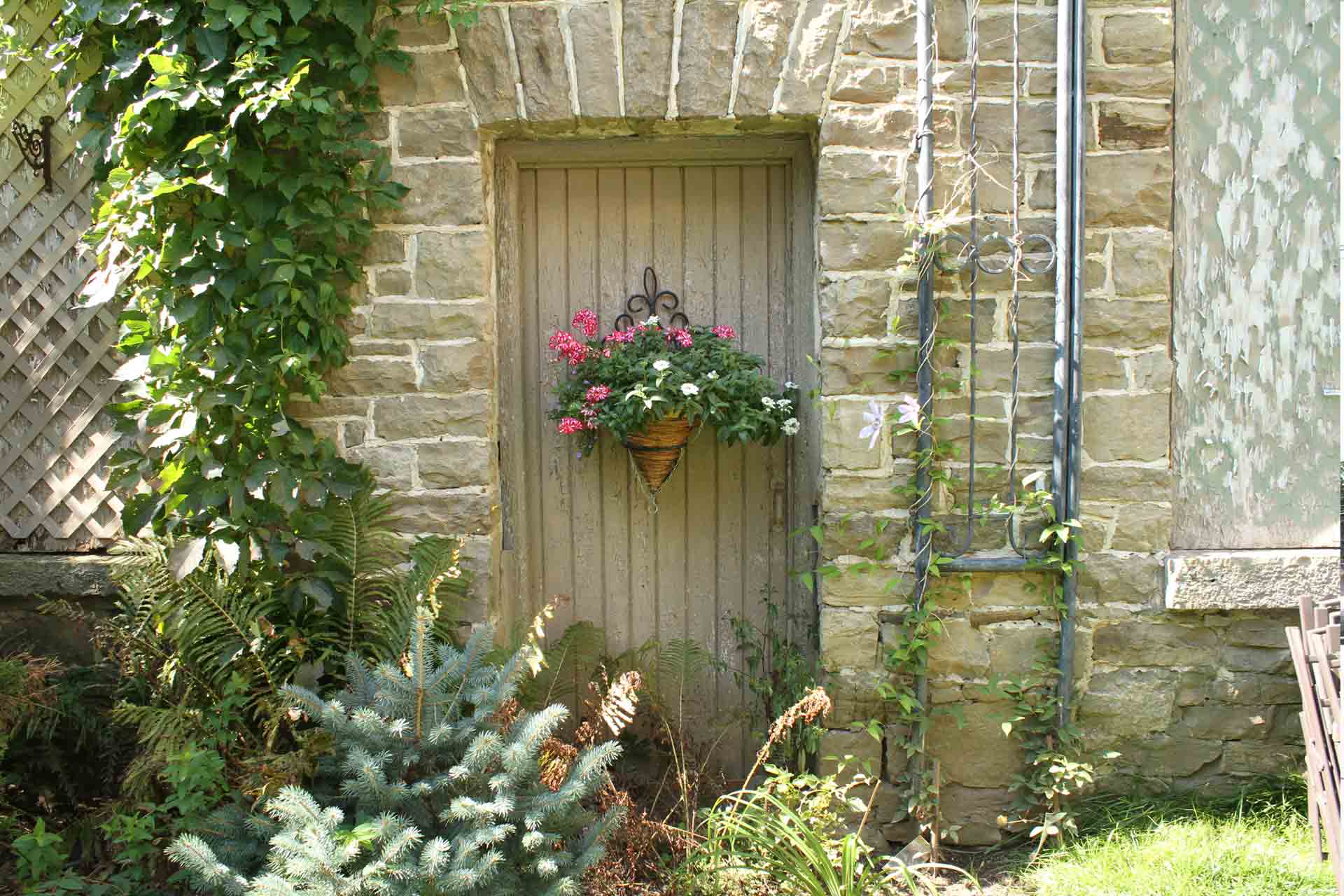 Exterior Wall in Garden Patio